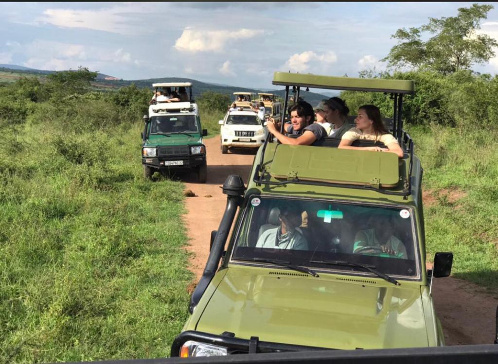 Game drive in Akagera National Park